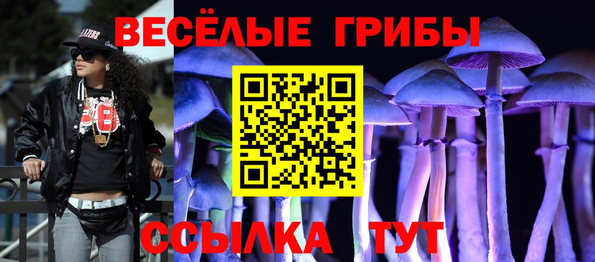 Псилоцибиновые грибы Psilocybine cubensis Назрань